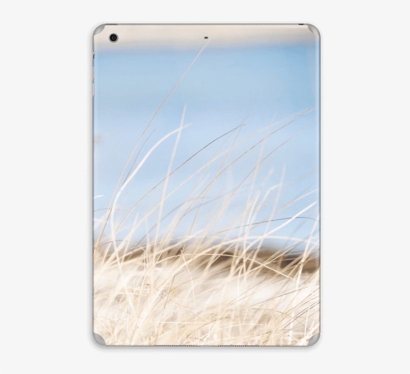 Beach Grass - Grass, transparent png download