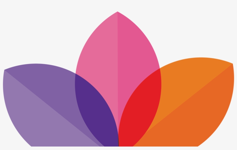 Smack Education - - Education, transparent png download