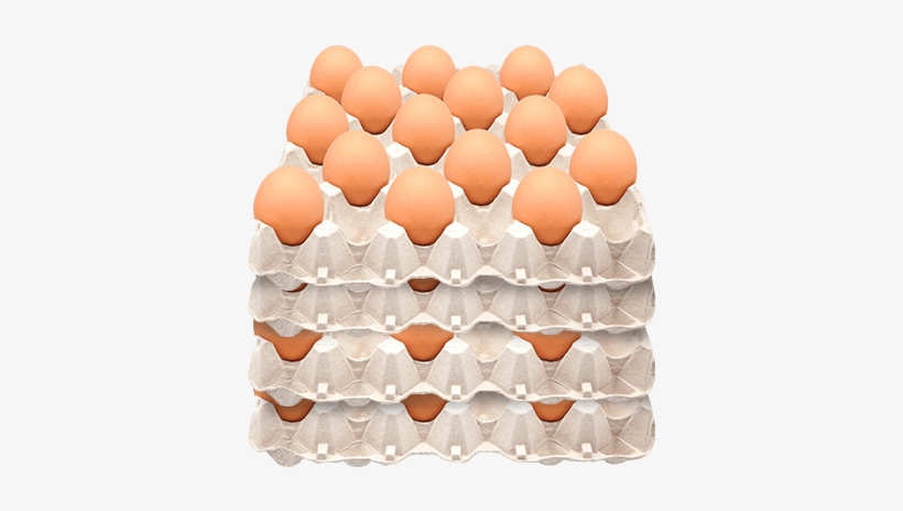 Avinal Huevo Rojo Jumbo Canasta Por 60 Unidades - Egg, transparent png download