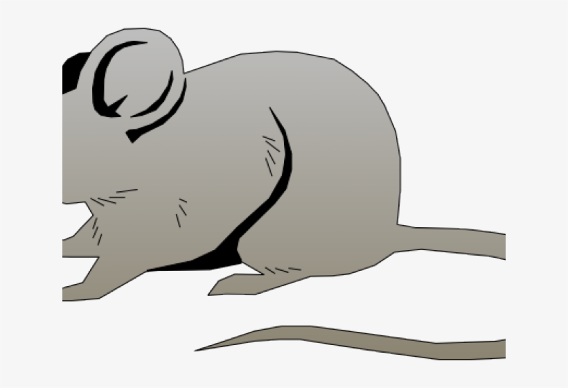 Mice Clipart Rat - Mouse Free Vector, transparent png download