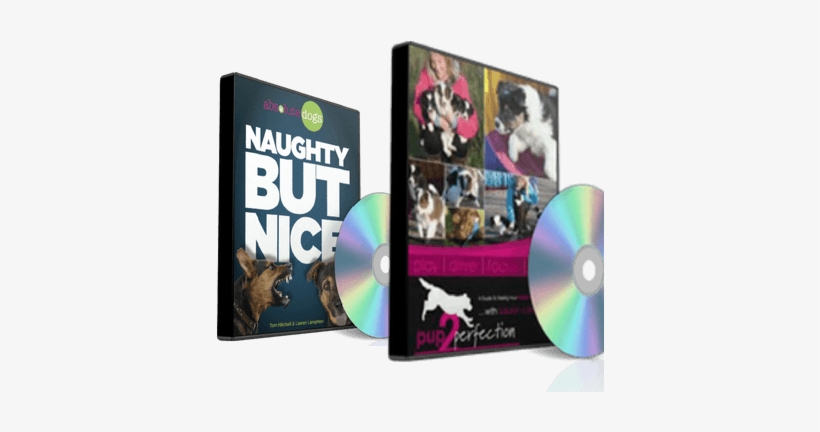 P2p & Nbn Dvd Digital Download Bundle - Naughty But Nice Dvd, transparent png download