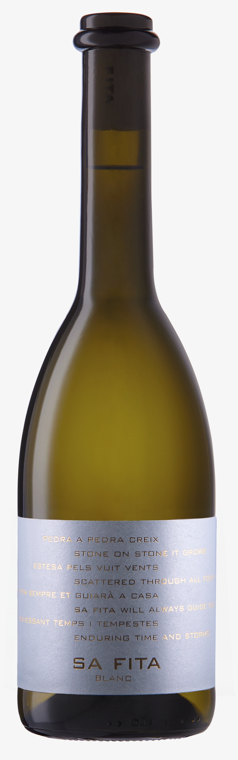 Sa Fita 2017 Bio - Es Fangar, transparent png download