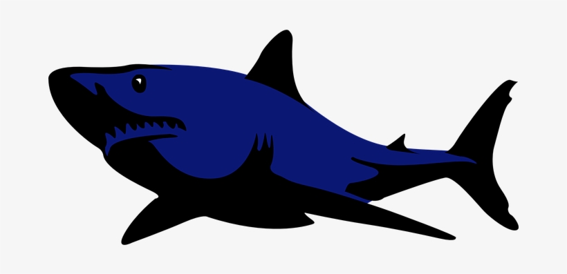 Shark Fish Animal Swim Danger Power Dark B - Tiger Shark Clip Art, transparent png download