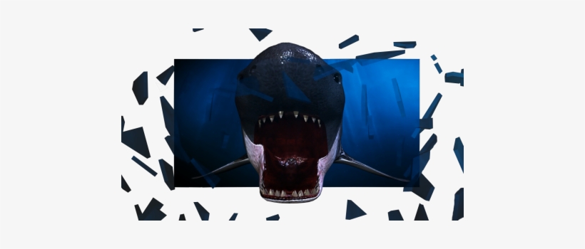 Dangerous Ar Money - Shark, transparent png download