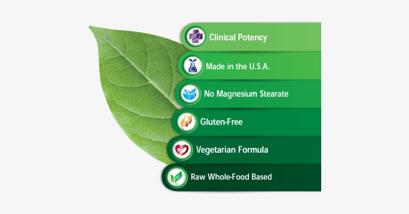 Emerald Labs Women's Multi Vit-a-min, transparent png download