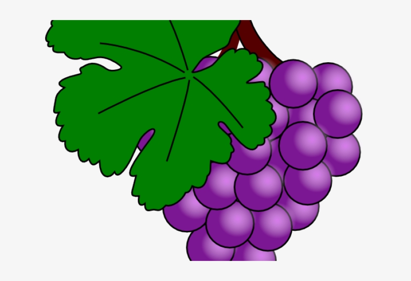 Original - Grapes Clip Art, transparent png download