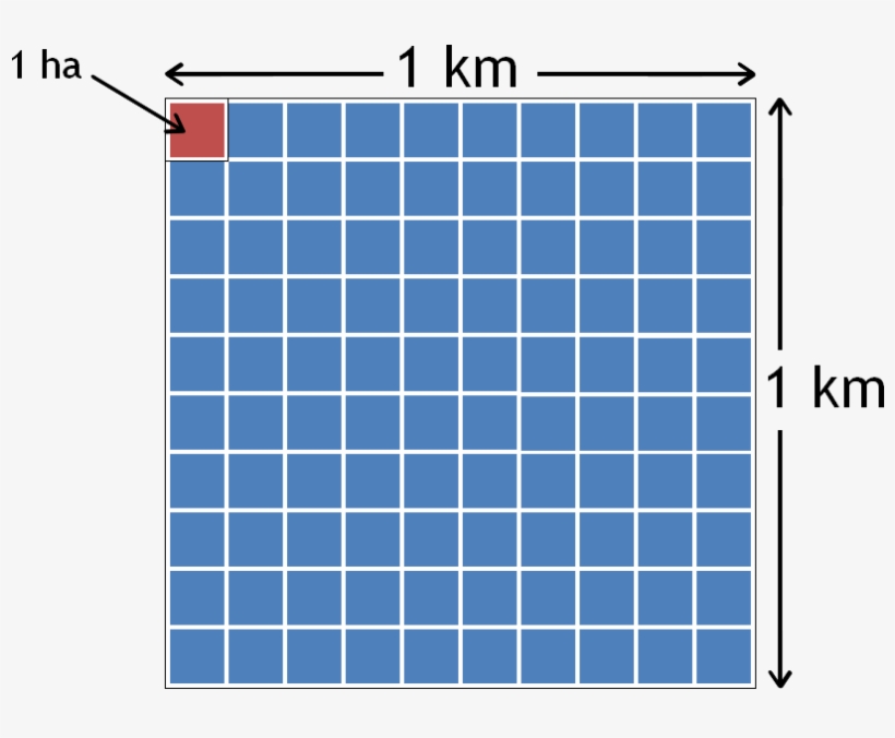1 Km2 - Kilometro Cuadrado, transparent png download