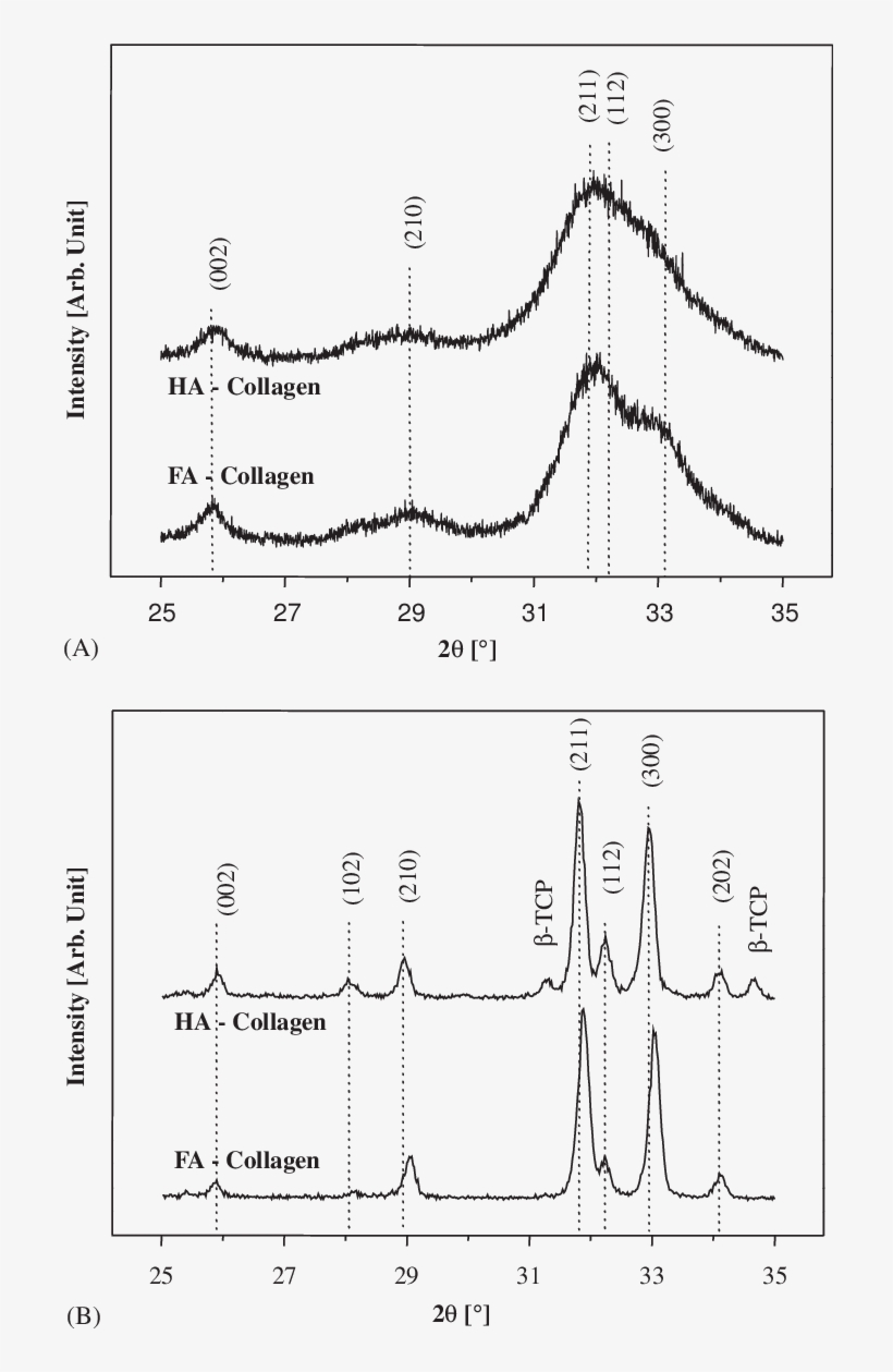 Xrd Patterns Of Ha And Fa Collagen Composites Freezedried - Diagram, transparent png download