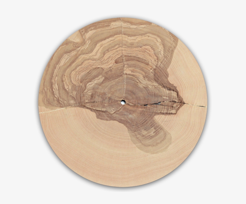 German Media Artist Bartholomaus Traubeck Creates Music - Sound, transparent png download