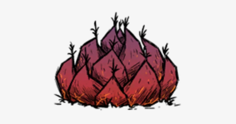 Coffee Plant Picked - Coffee Plant Don T Starve, transparent png download