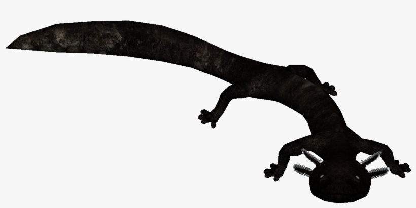 Hook Island Sea Monster, transparent png download