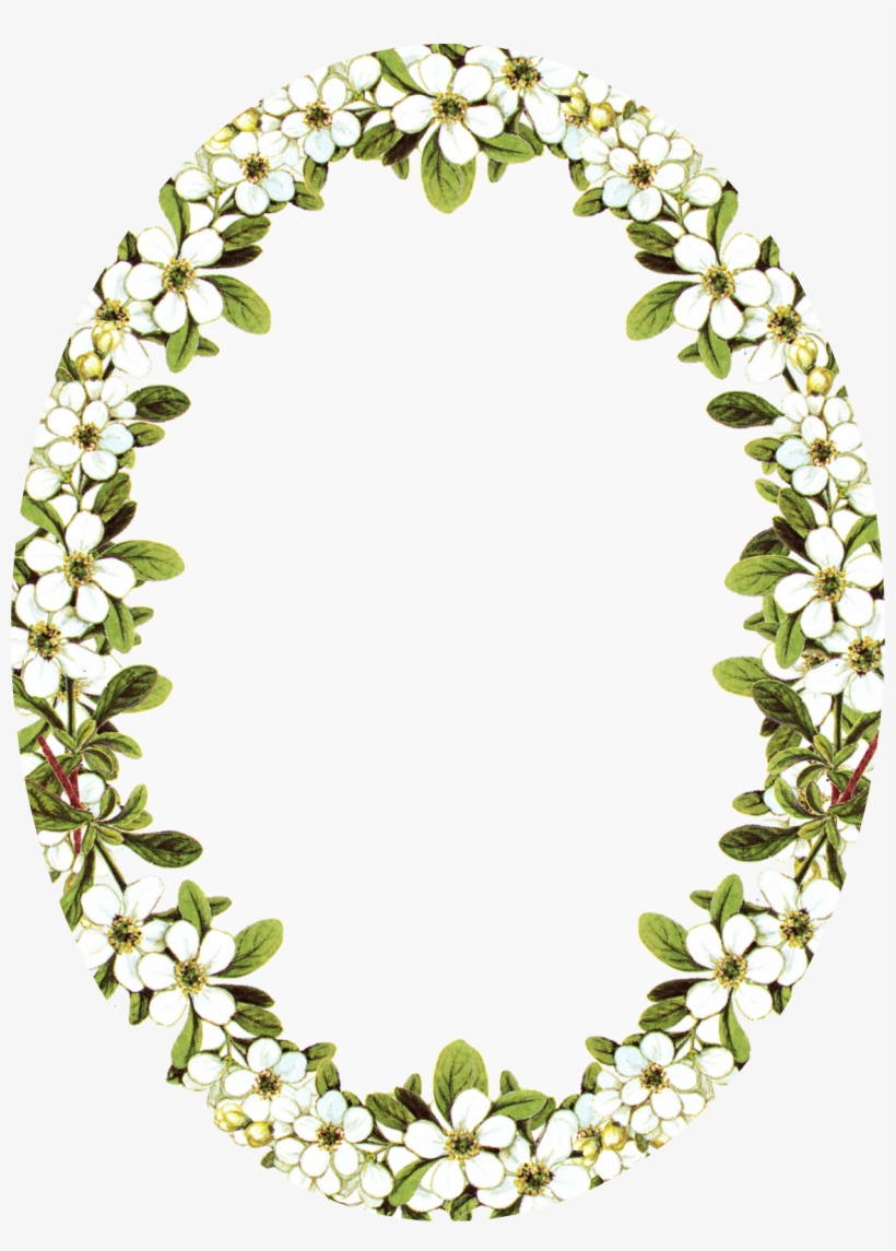 Vintage Frame Clip Art - Oval Flower Frames Png, transparent png download