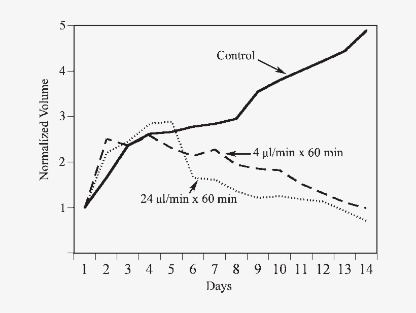 Tumor Growth During Formalin Infusions Into D54 Mg - Neoplasm, transparent png download