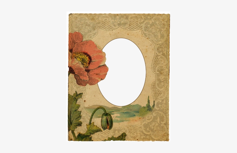 Vintage Frame With Poppy - Picture Frame, transparent png download
