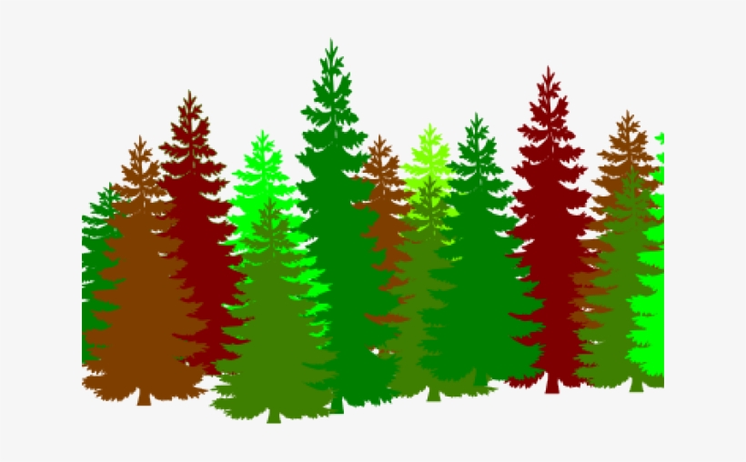 Christmas Trees Clipart - Forest Clipart, transparent png download