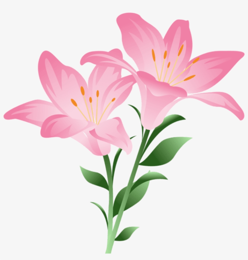 Scrapbook Images, Lilium, Pink Watercolor, Sticker, - Lilium Clipart, transparent png download