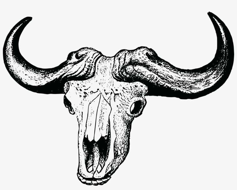 Free Clipart Of An Ox Skull - Buffalo Skull Clipart, transparent png download