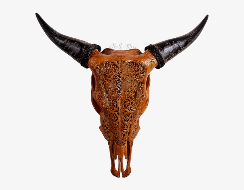 Cattle, transparent png download