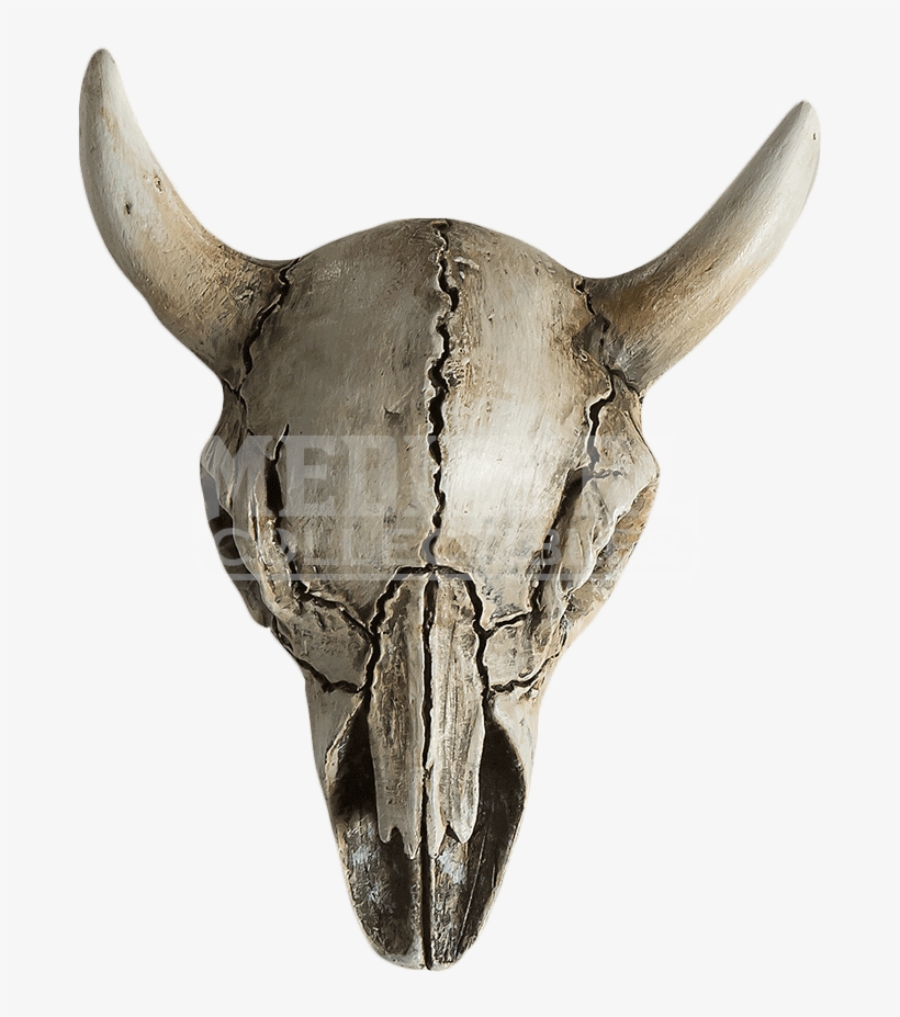 Item - Armadillo, transparent png download