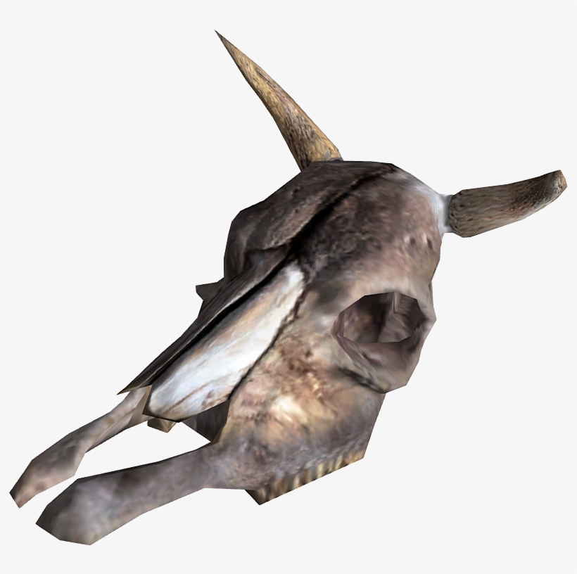 Brahmin Skull - Antler Fallout, transparent png download
