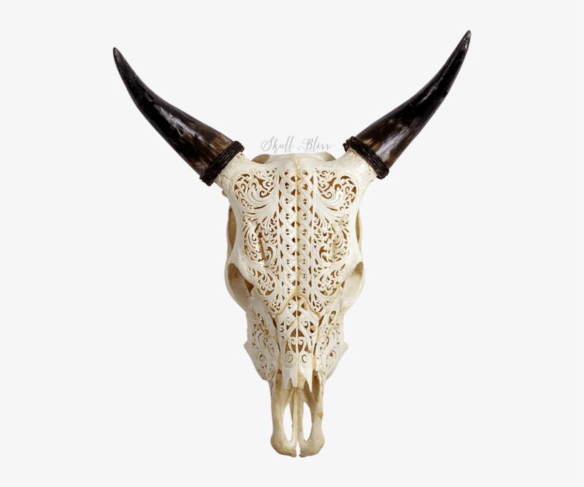 Carved Cow Skull - Skull, transparent png download