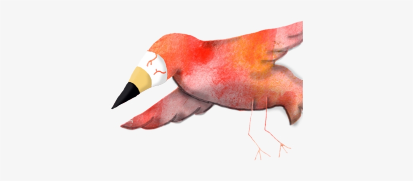 Creatures And Monsters - Tern, transparent png download