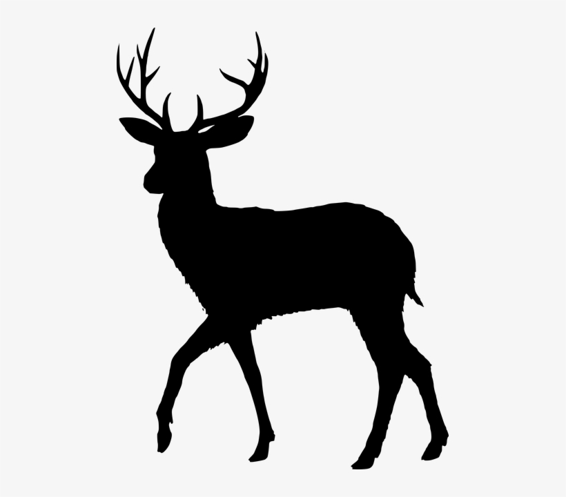 Image Freeuse Library Male And Female Silhouette At - Fallow Deer Silhouette, transparent png download