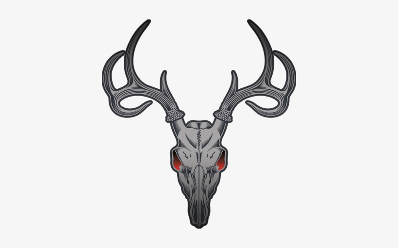 Deer - Tete De Chevreuil Squelette, transparent png download