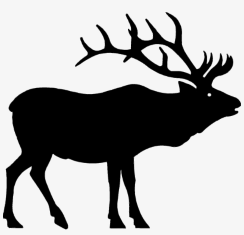 Bull - Elk Clipart, transparent png download