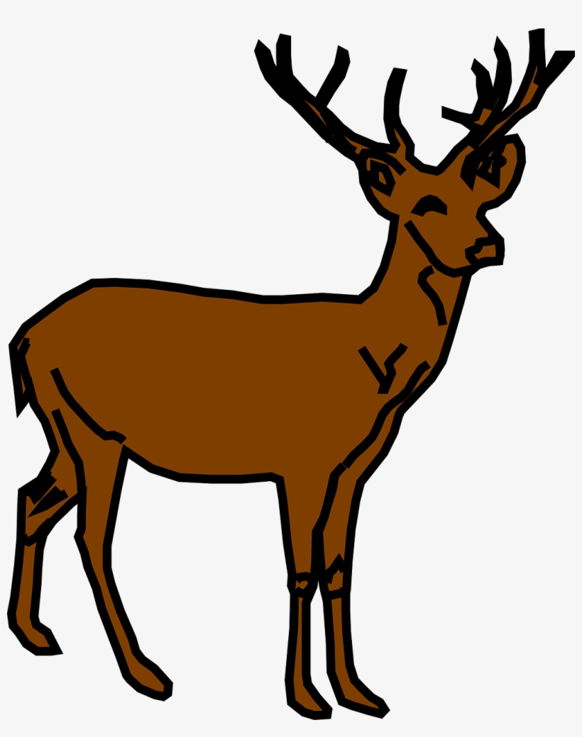 Brown Deer Clipart, transparent png download