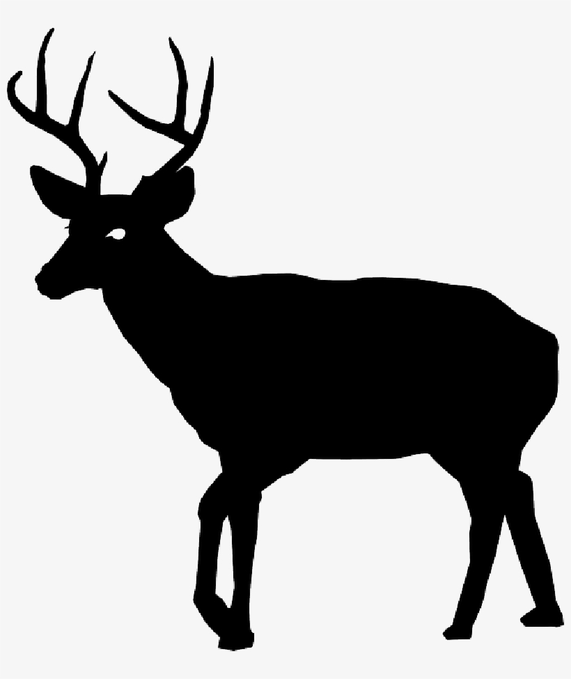 Mb Image/png - Stag Silhouette Png, transparent png download