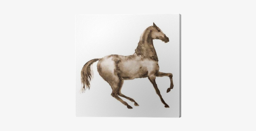 Watercolor Brown Horse In Motion - Drawing, transparent png download