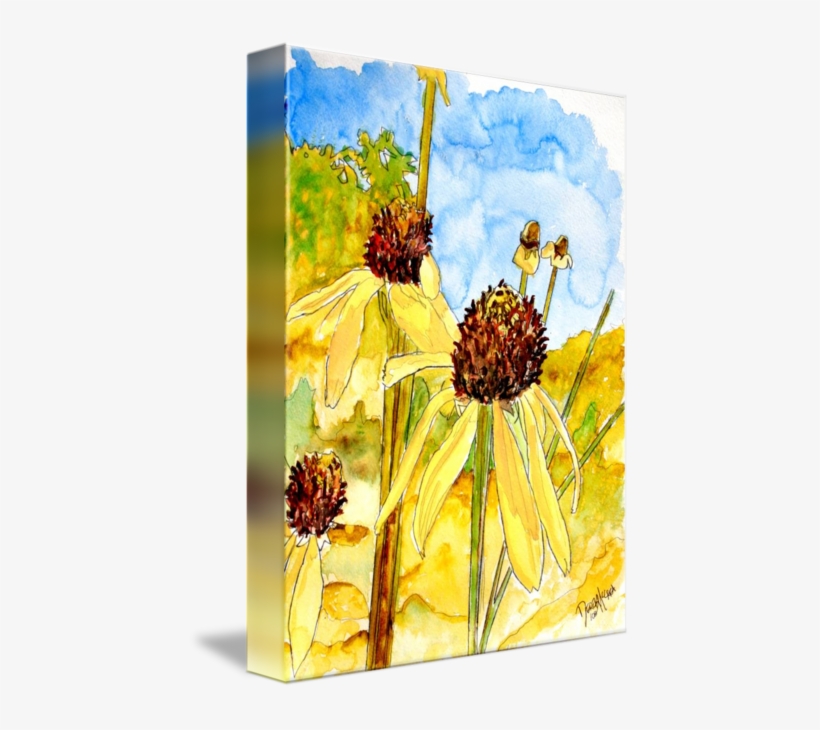 Yellow Coneflower Watercolor Painting Print By Derek - Gallery-wrapped Canvas Art Print 11 X 15 Entitled Yellow, transparent png download