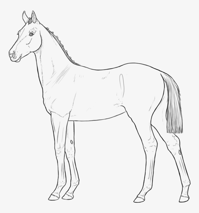 Horse And Foal Elegant Country Scarecrow Awesome - Horse, transparent png download