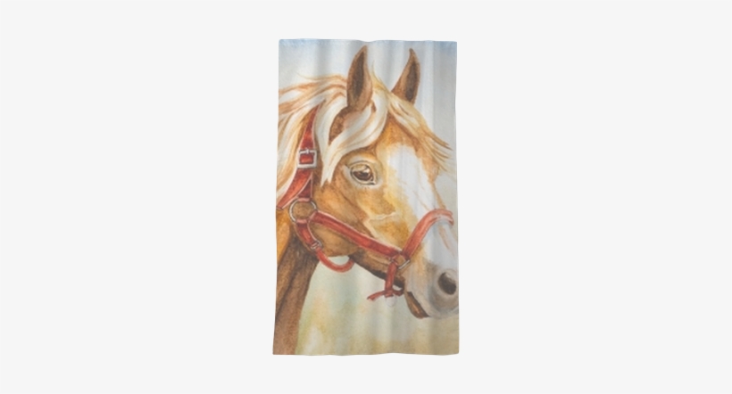 Watercolor Horse Head Illustration Sheer Window Curtain - Watercolor Horse Hair, transparent png download