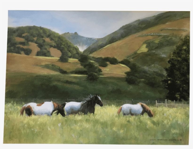 Mustang Horse, transparent png download