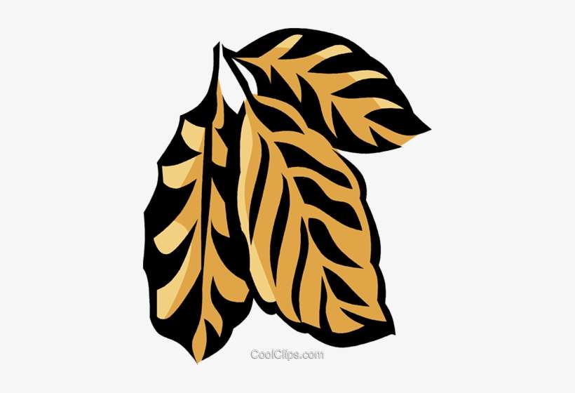 Coffee Plant Royalty Free Vector Clip Art Illustration - Clip Art, transparent png download
