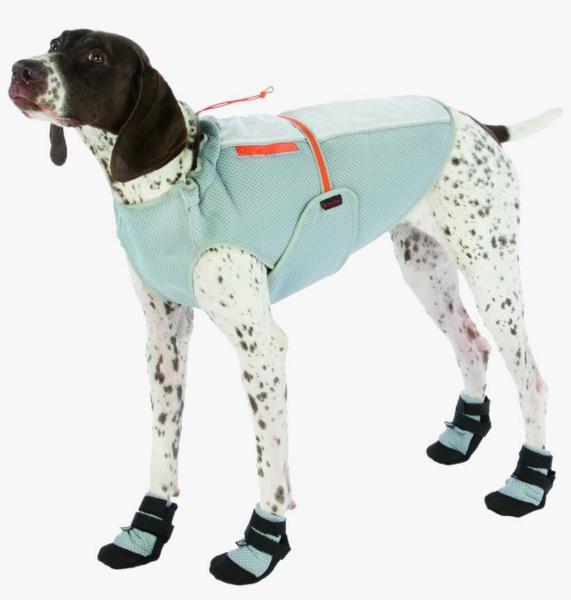 Ultra Paws Ultra Cool Coat - Ultra Paws Cool Dog Coat - Silver - X-small, transparent png download