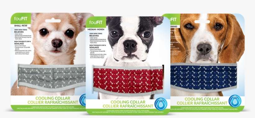 Ffd Cooling Collar All Colours - Foufit Cooling Collar, transparent png download