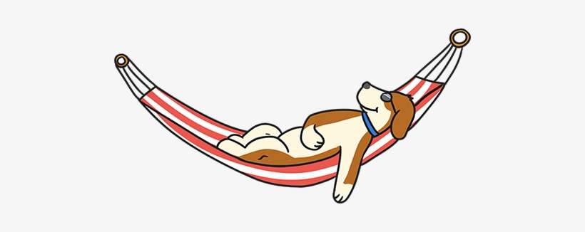 Welcome To Cool Canines In Partnership With Dog Walking - Cool Canines, transparent png download