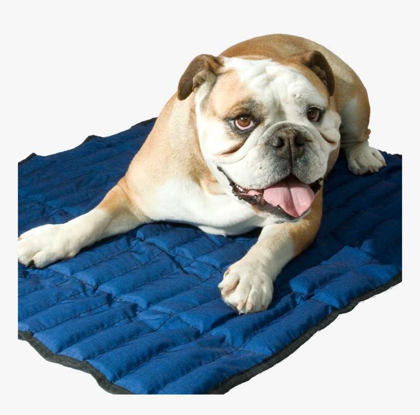 Be - Aqua Coolkeeper Cooling Mat - Pacific Blue - Xxl, transparent png download