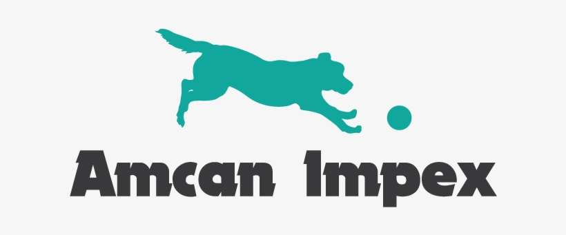 Choosing A Cool Day Care For My Puppy - Dog Toy, transparent png download