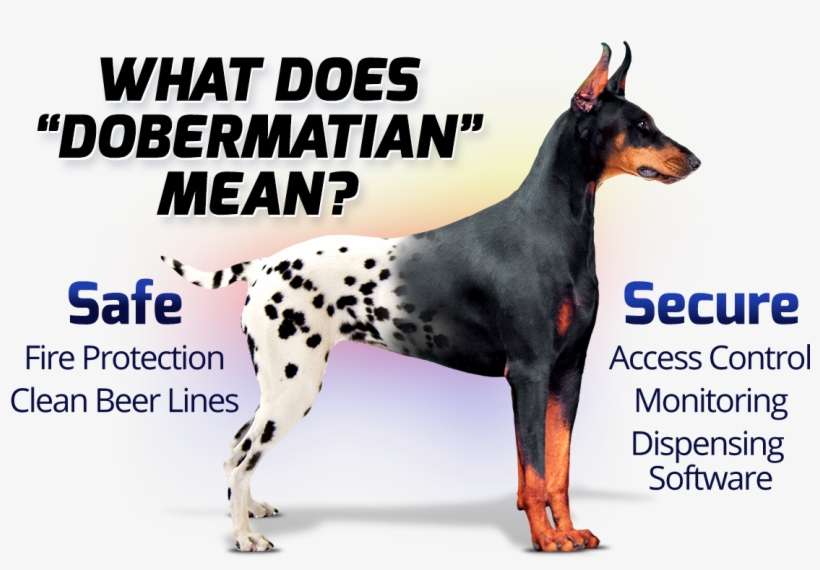 Image - Dobermann, transparent png download