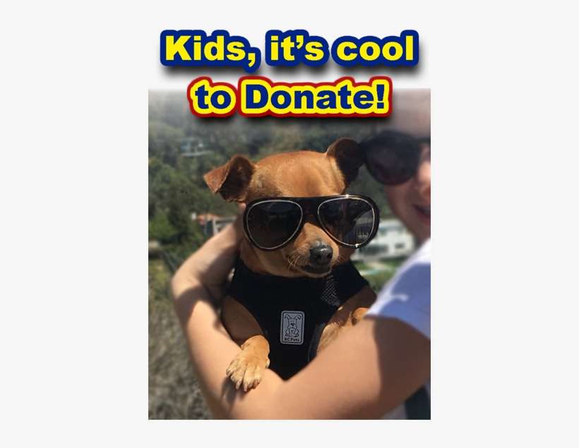 Adoption Fees - Bean, transparent png download
