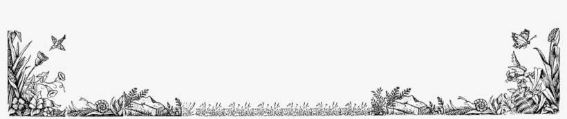 This Is A Beautiful, Nature-themed Border Digital Stamp - Flora And Fauna Border, transparent png download