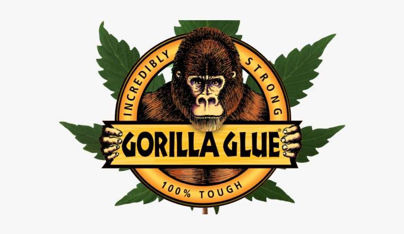 Gorilla Glue 4 Reviews - Gorilla Glue Bottle Price, transparent png download