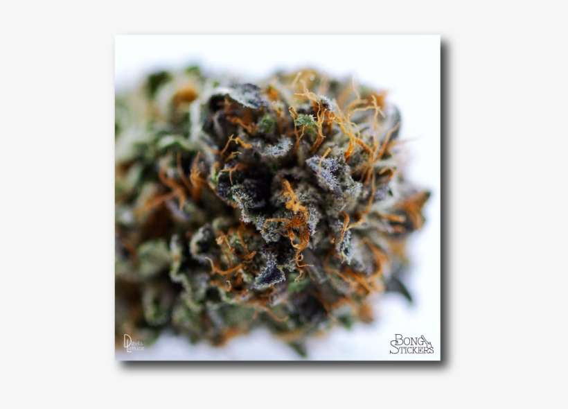 Dank Bud Weed Sticker - Orange, transparent png download