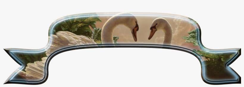 Frames And Borders - Imagenes De Cisnes Enamorados, transparent png download