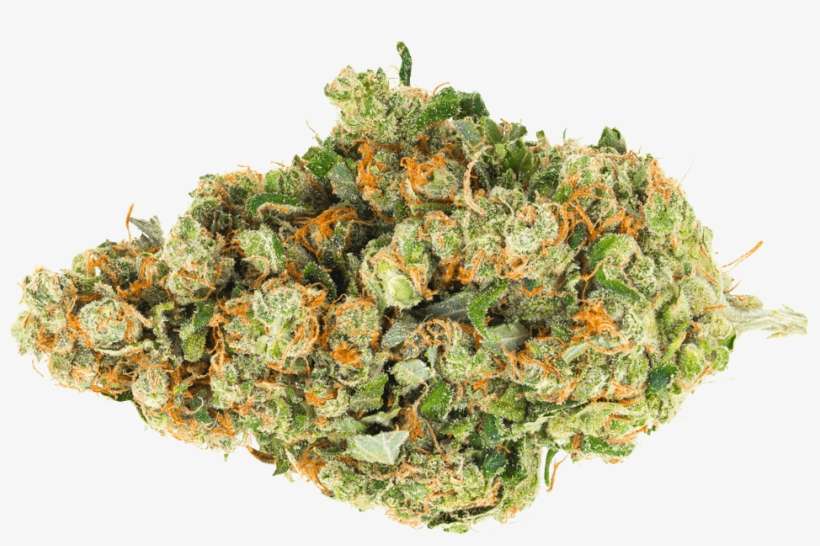 San Diego, transparent png download