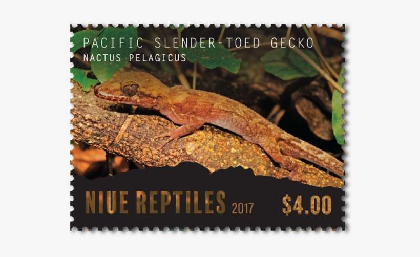 Single Stamp - Gecko, transparent png download